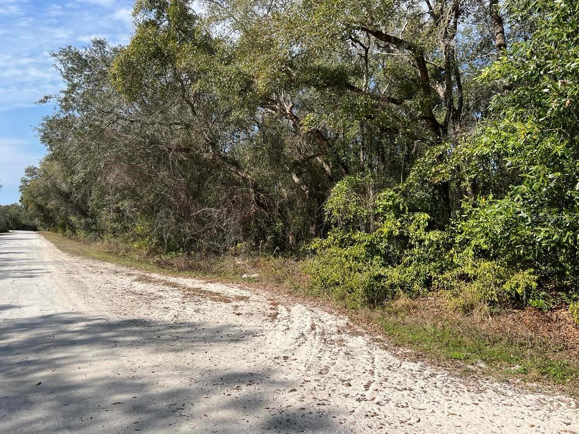 34085 ARROWROCK ST, WEBSTER, FL — photo 9