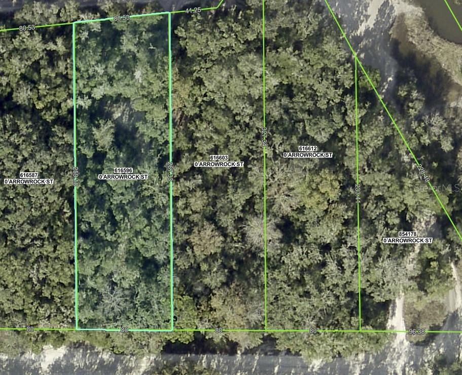 34085 ARROWROCK ST, WEBSTER, FL — photo 12