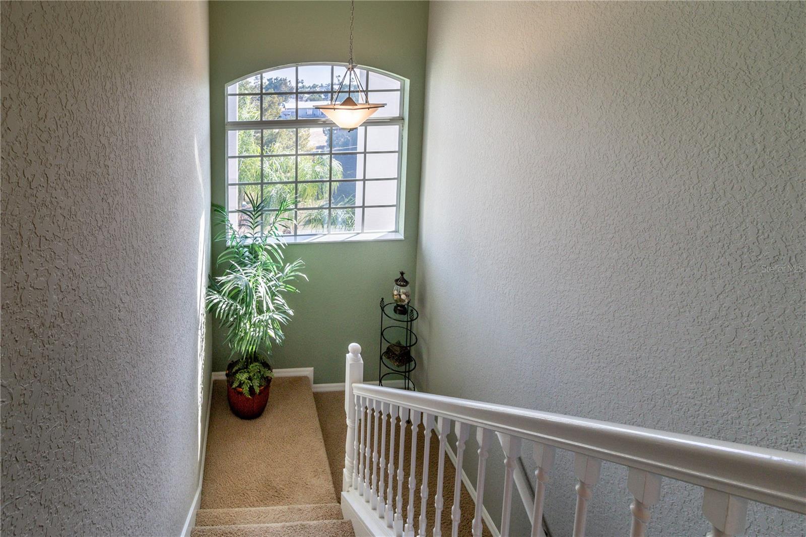 5100 CEDARBROOK LN, HERNANDO BEACH, FL — photo 44