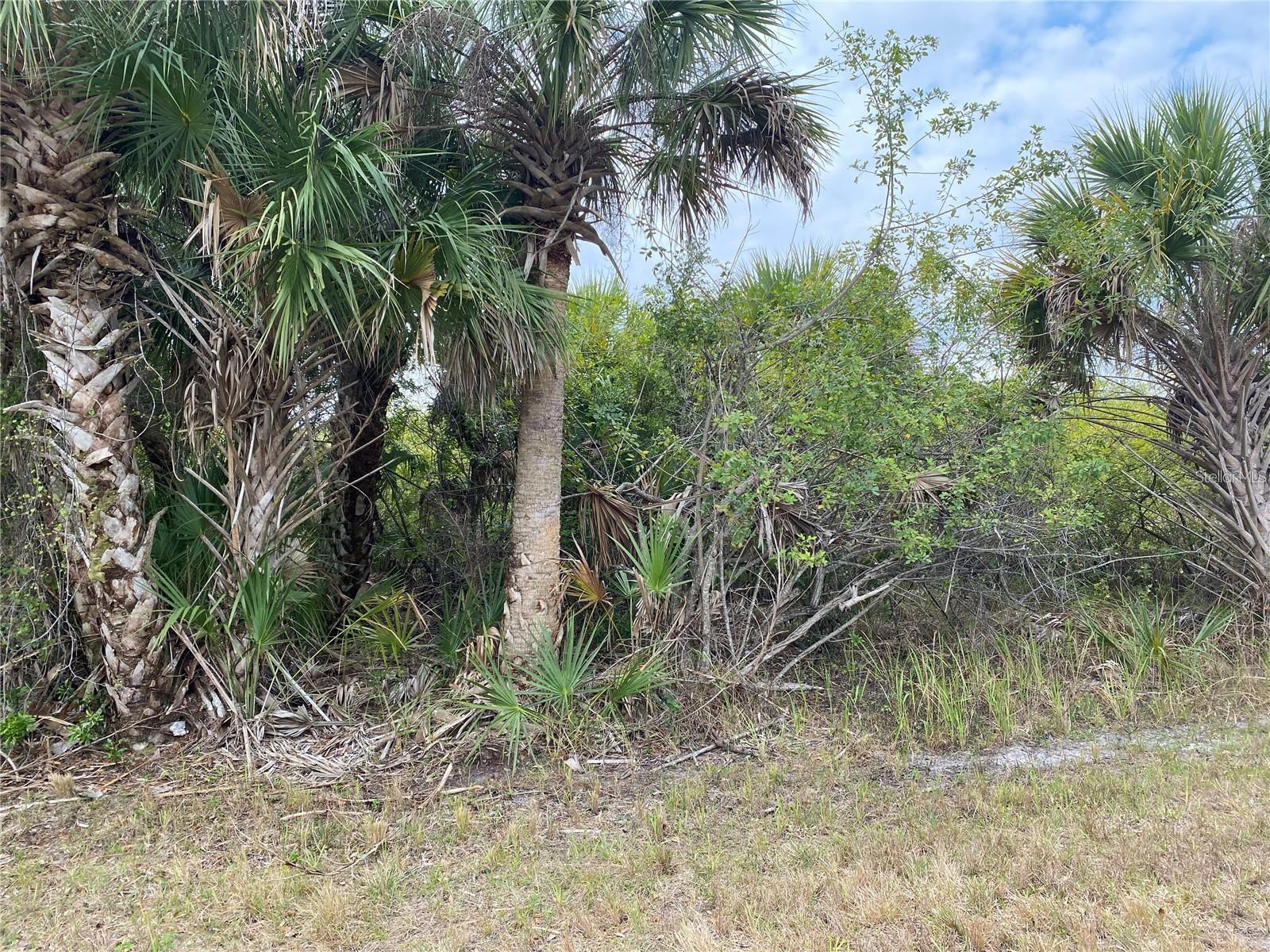 19225 SHERBROOKE AVE, PORT CHARLOTTE, FL