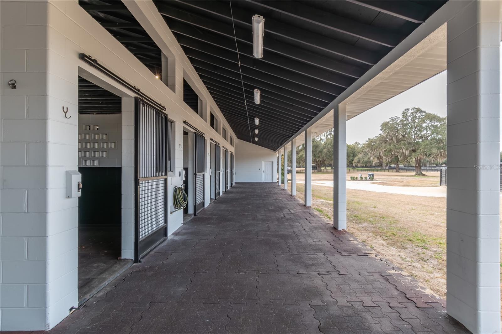 6170 NW 135TH AVE, MORRISTON, FL — photo 14