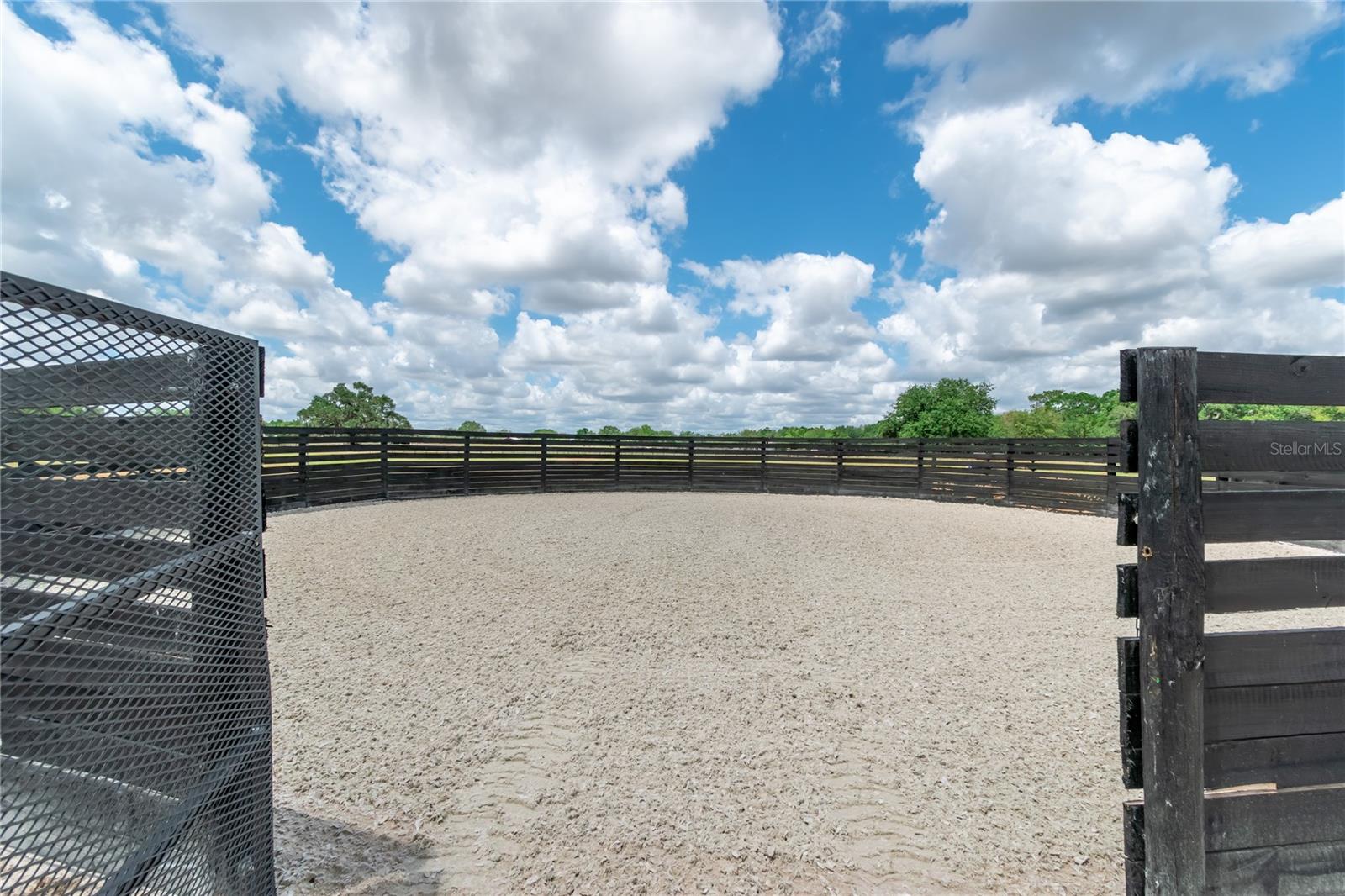6170 NW 135TH AVE, MORRISTON, FL — photo 22