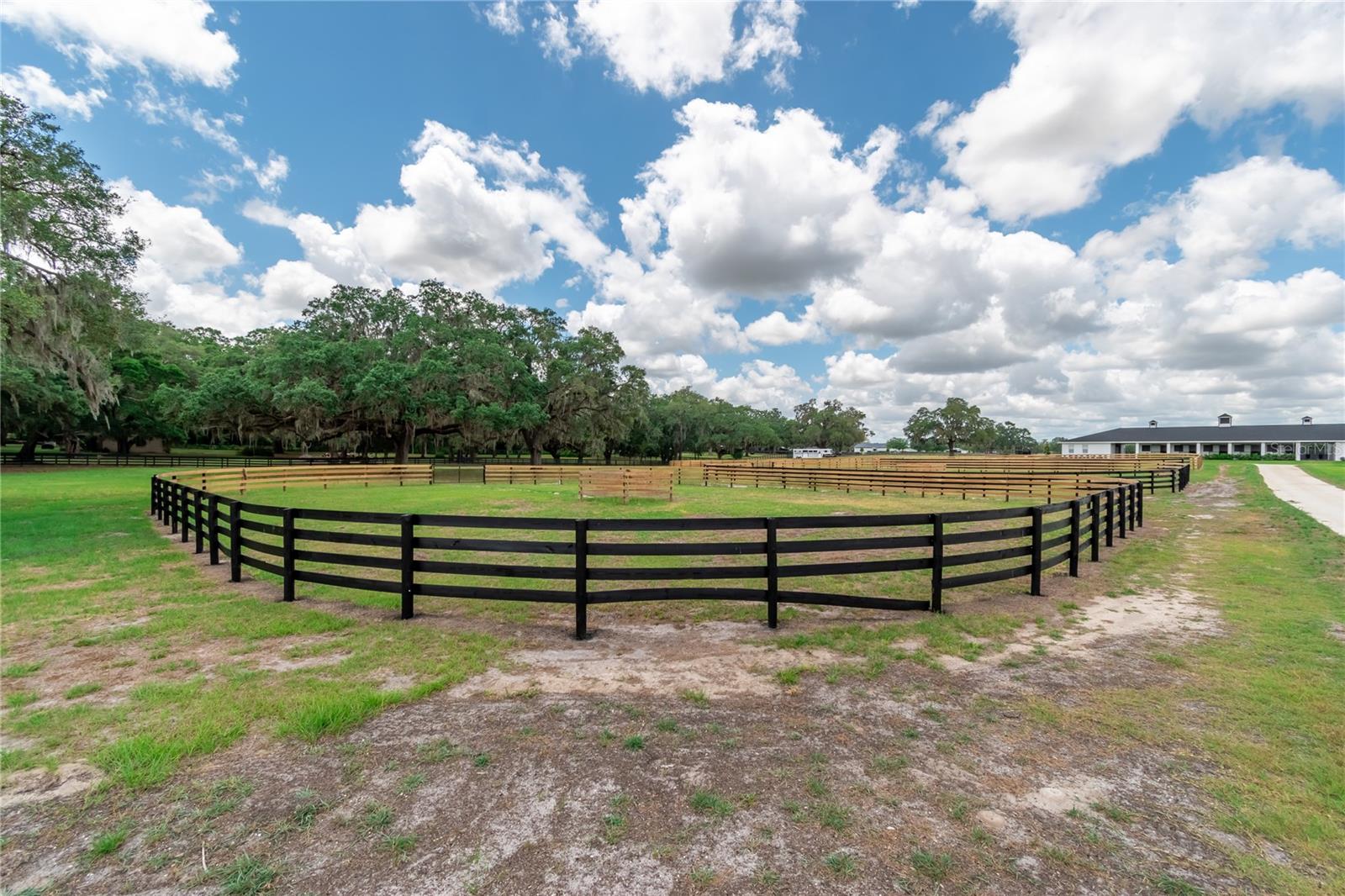 6170 NW 135TH AVE, MORRISTON, FL — photo 31