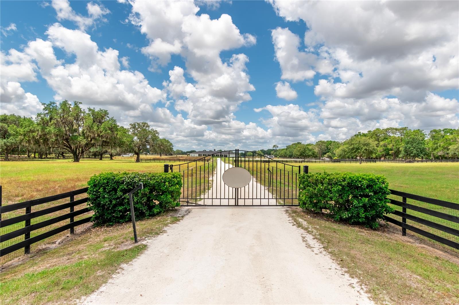 6170 NW 135TH AVE, MORRISTON, FL — photo 33