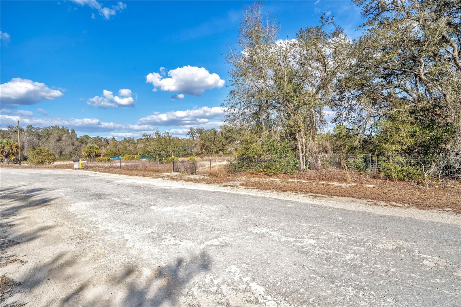 GOODSTONE DR, WEBSTER, FL — photo 3