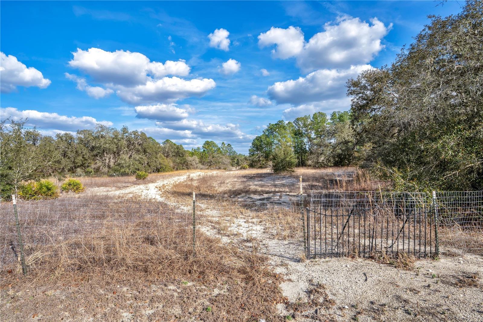 GOODSTONE DR, WEBSTER, FL — photo 4
