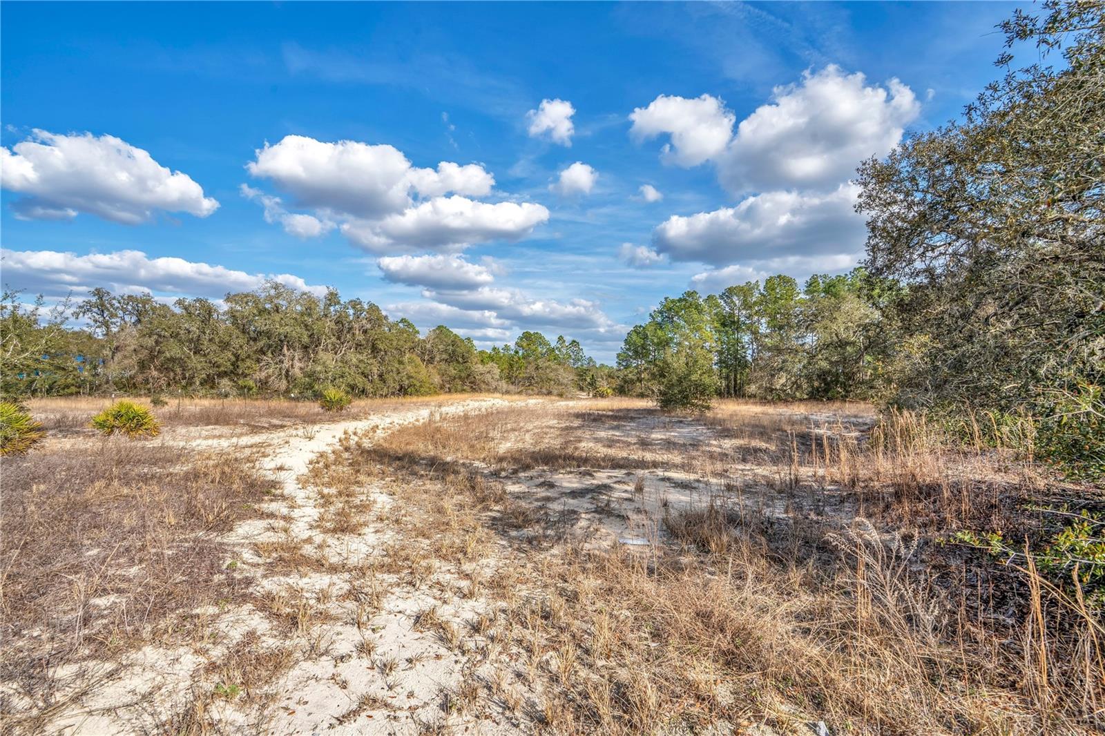 GOODSTONE DR, WEBSTER, FL — photo 6
