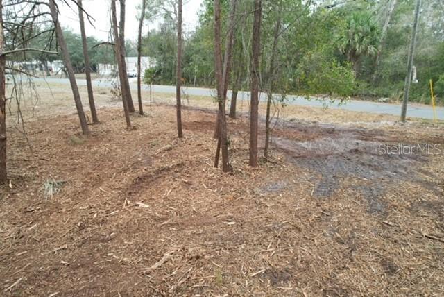 PALM ST, PAISLEY, FL — photo 9