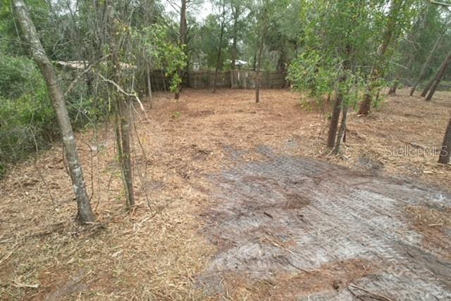 PALM ST, PAISLEY, FL — photo 13