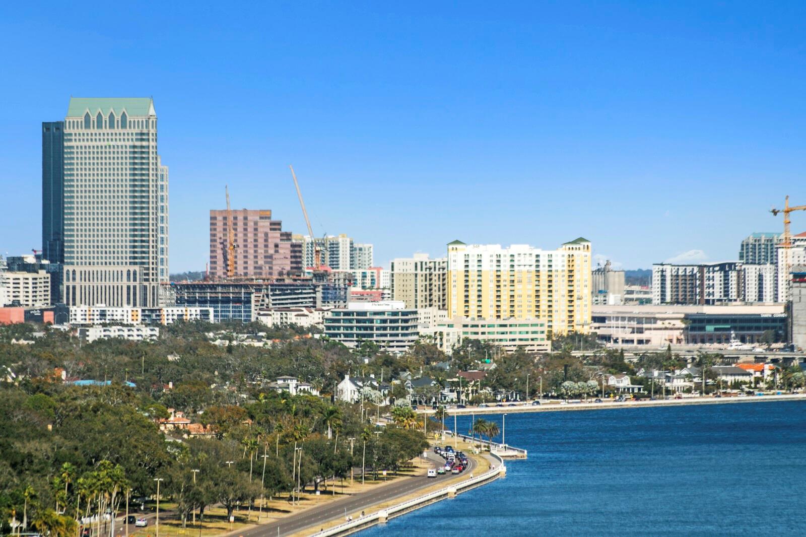 3101 BAYSHORE BLVD #1804, TAMPA, FL — photo 16