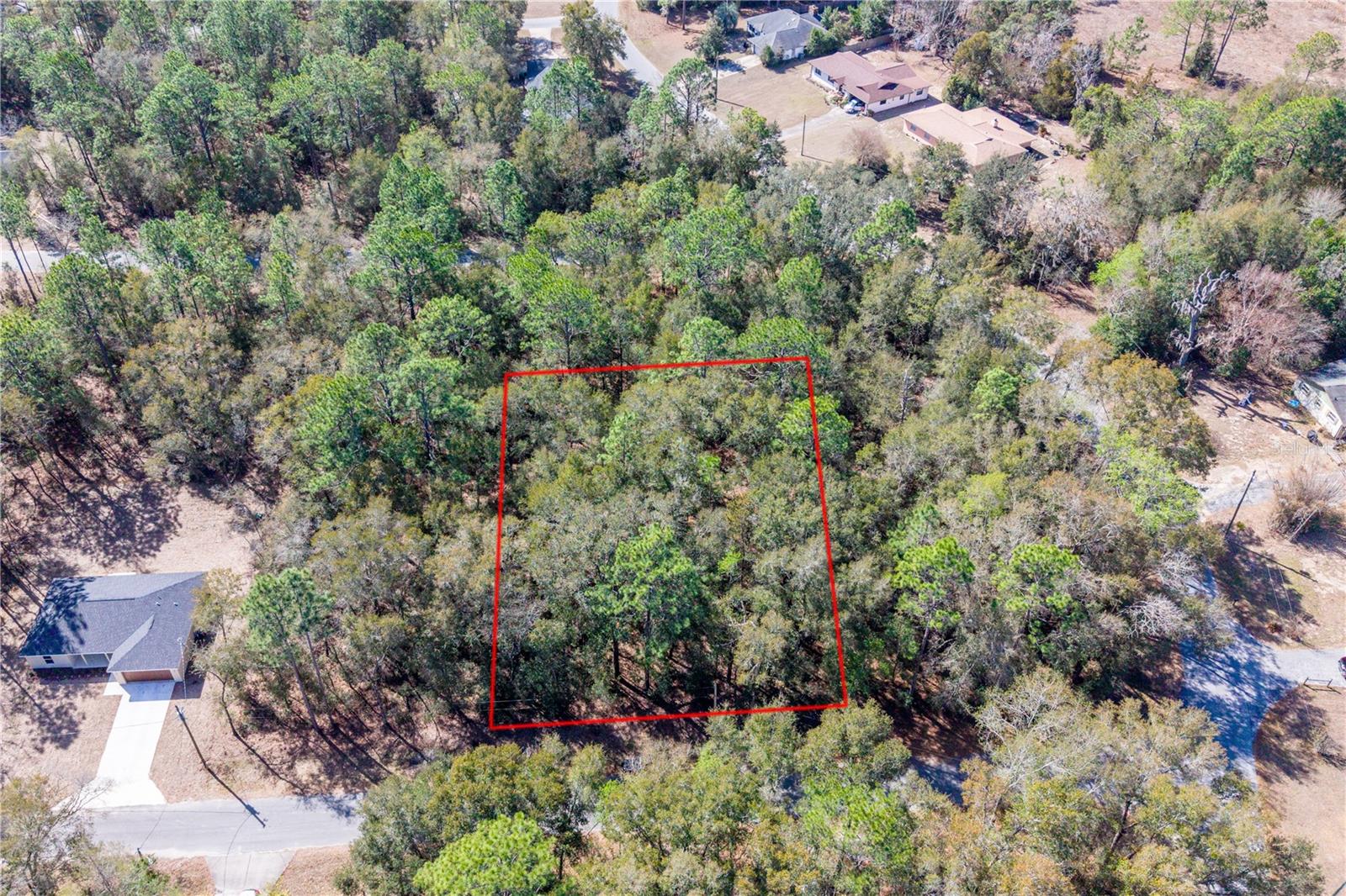 TBD NE 2ND ST, LOT 10, WILLISTON, FL — photo 3
