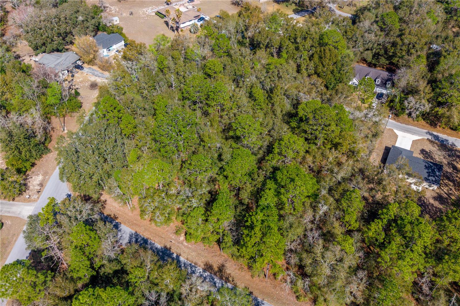 TBD NE 2ND ST, LOT 10, WILLISTON, FL — photo 5