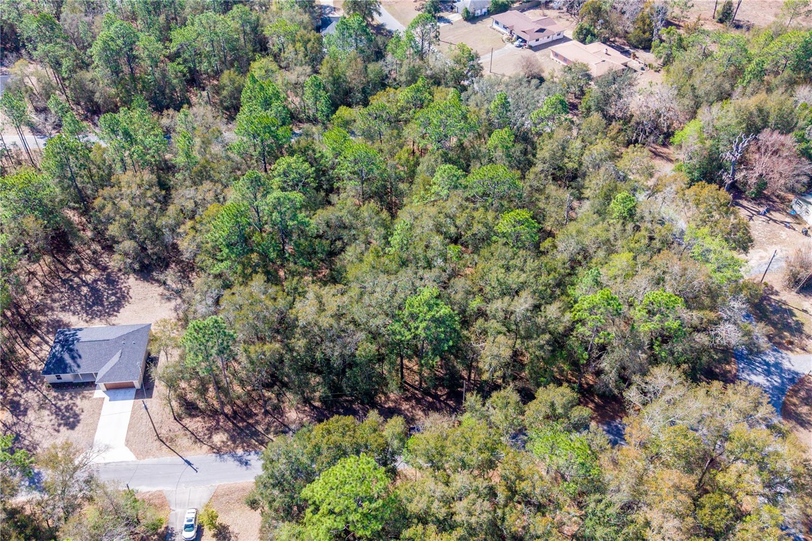 TBD NE 2ND ST, LOT 10, WILLISTON, FL — photo 6