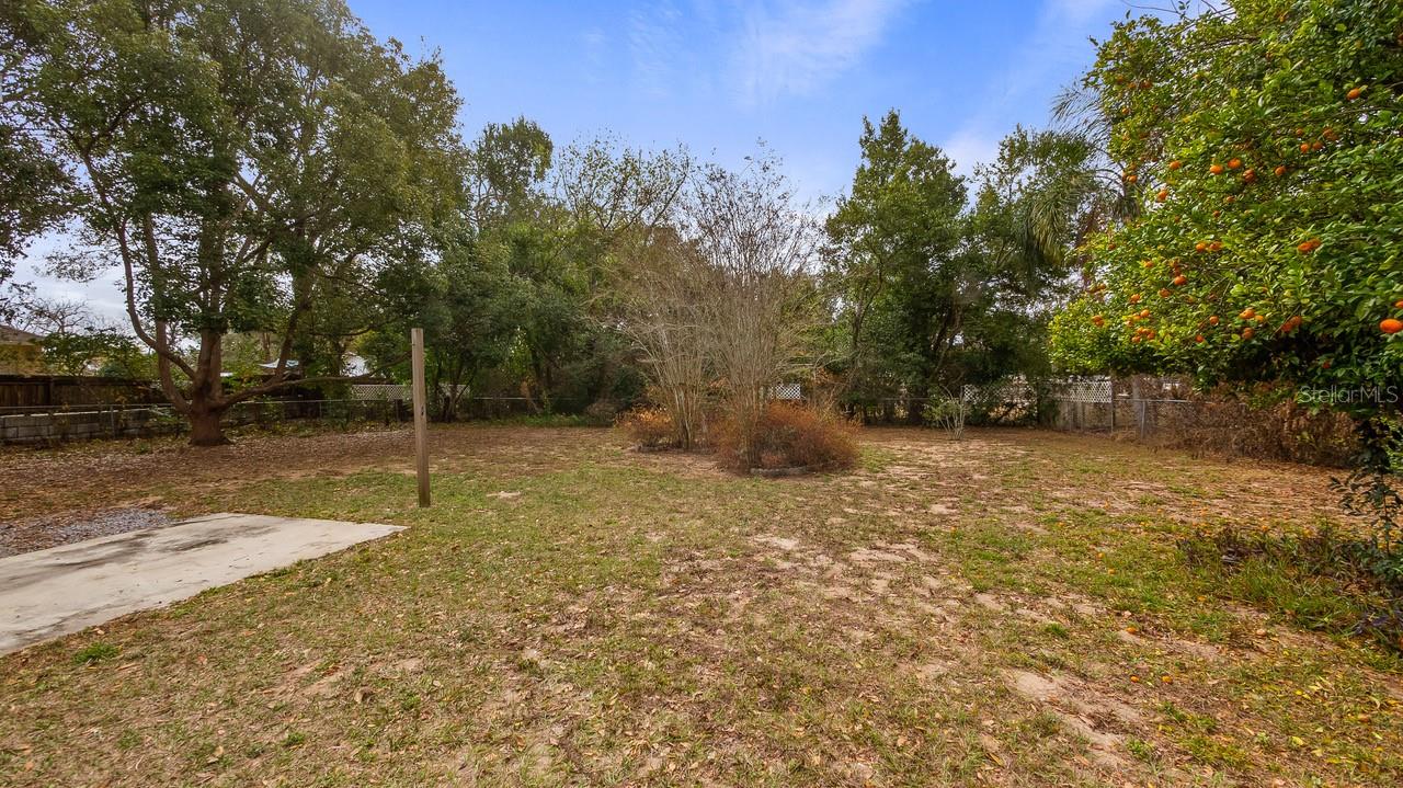 107 E MAGNOLIA AVE, HOWEY IN THE HILLS, FL — photo 62