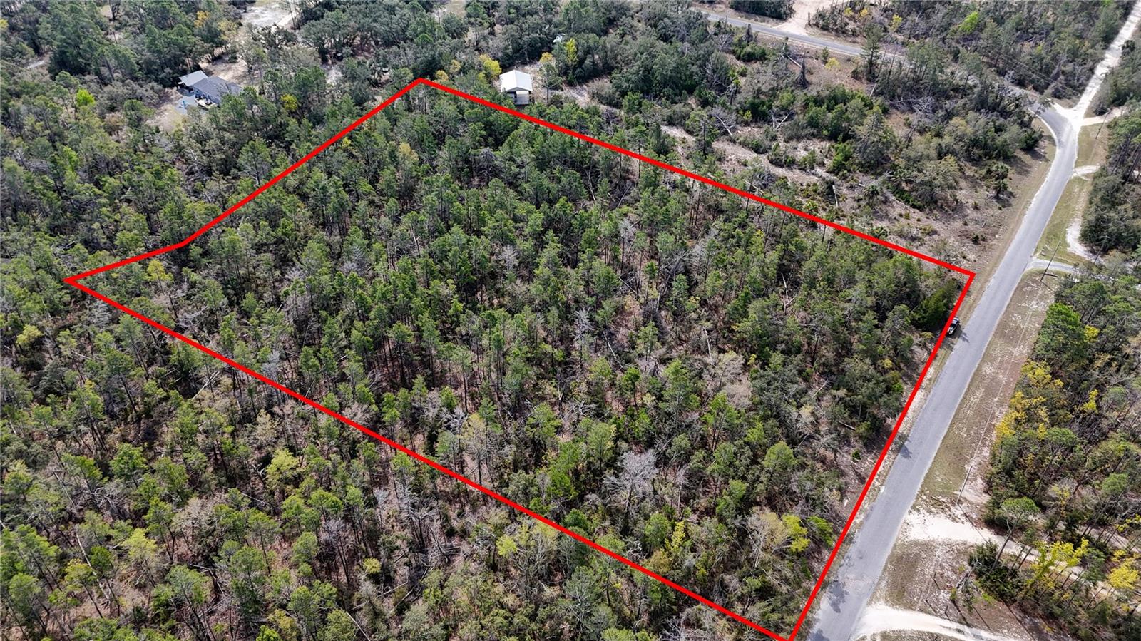 STRICKLAND LAND DRIVE, PERRY, FL — photo 3