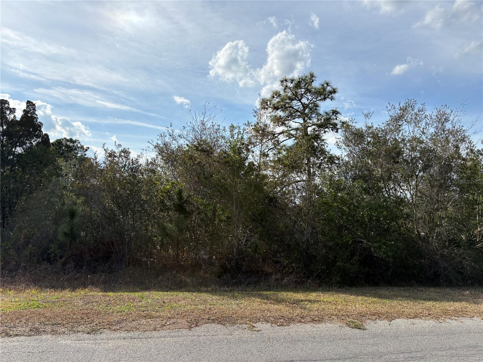ODHAM ST, ORLANDO, FL