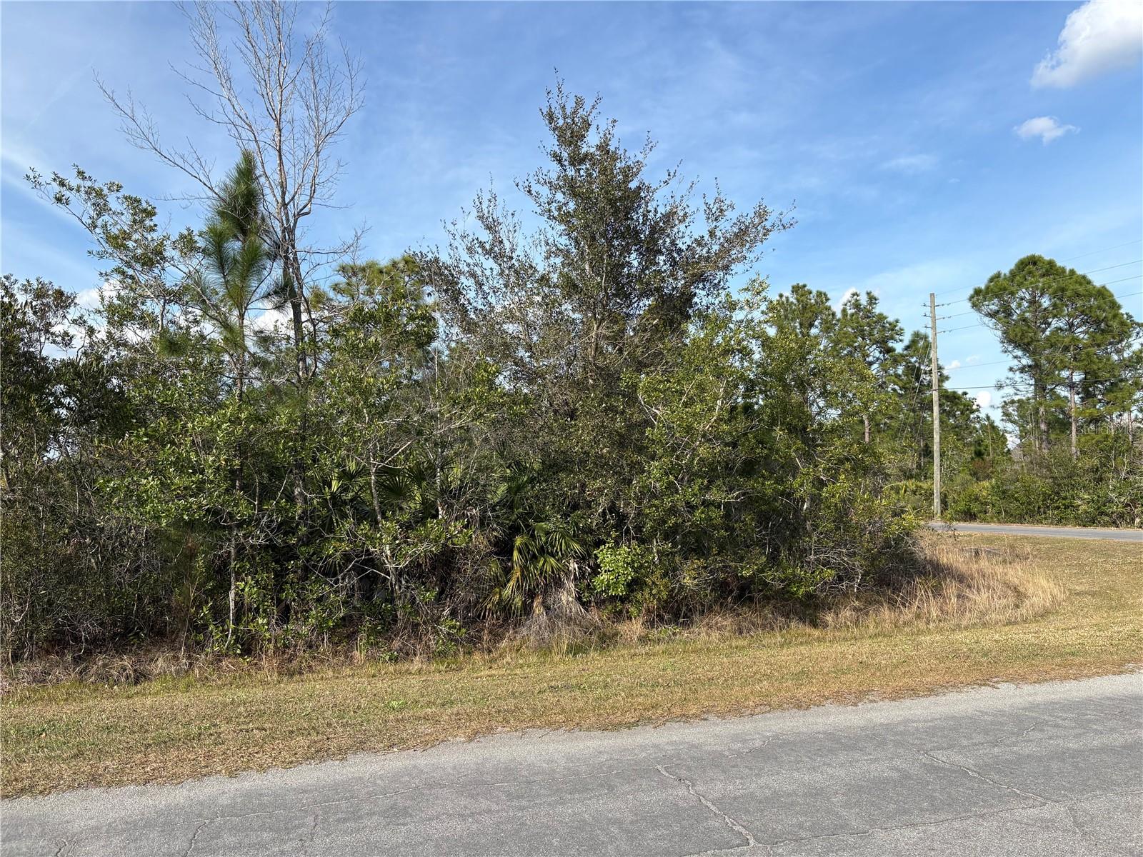 ODHAM ST, ORLANDO, FL — photo 2