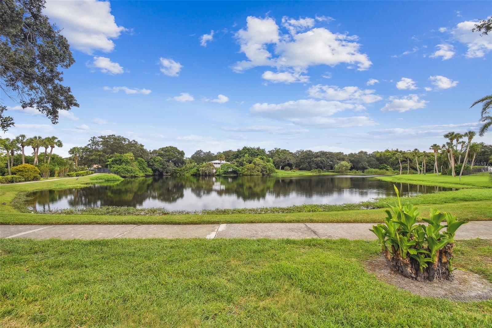 100 OAKMONT LN #106, BELLEAIR, FL — photo 52