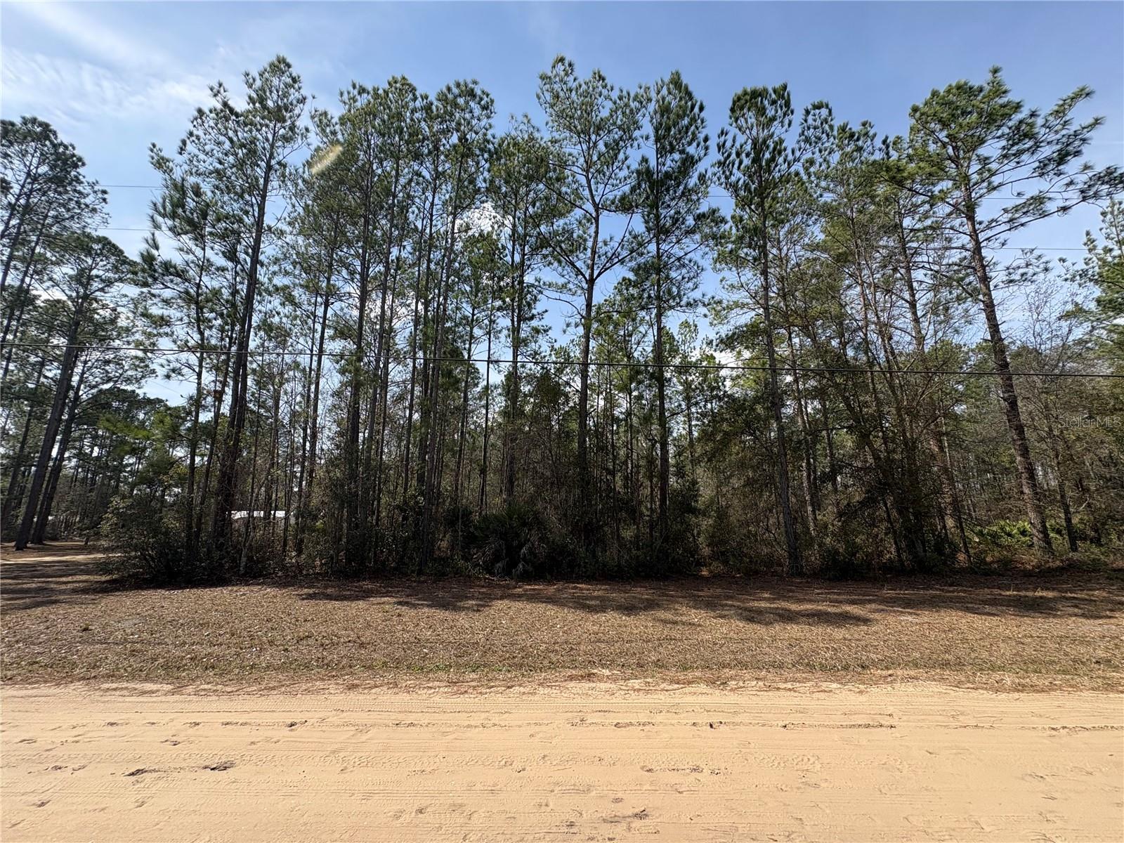 4385 BONDARENKO RD, KEYSTONE HEIGHTS, FL