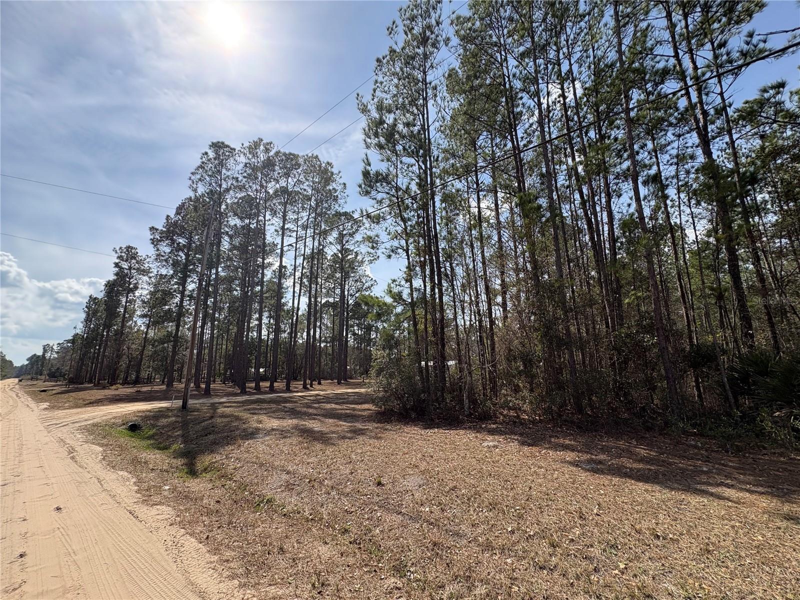 4385 BONDARENKO RD, KEYSTONE HEIGHTS, FL — photo 2