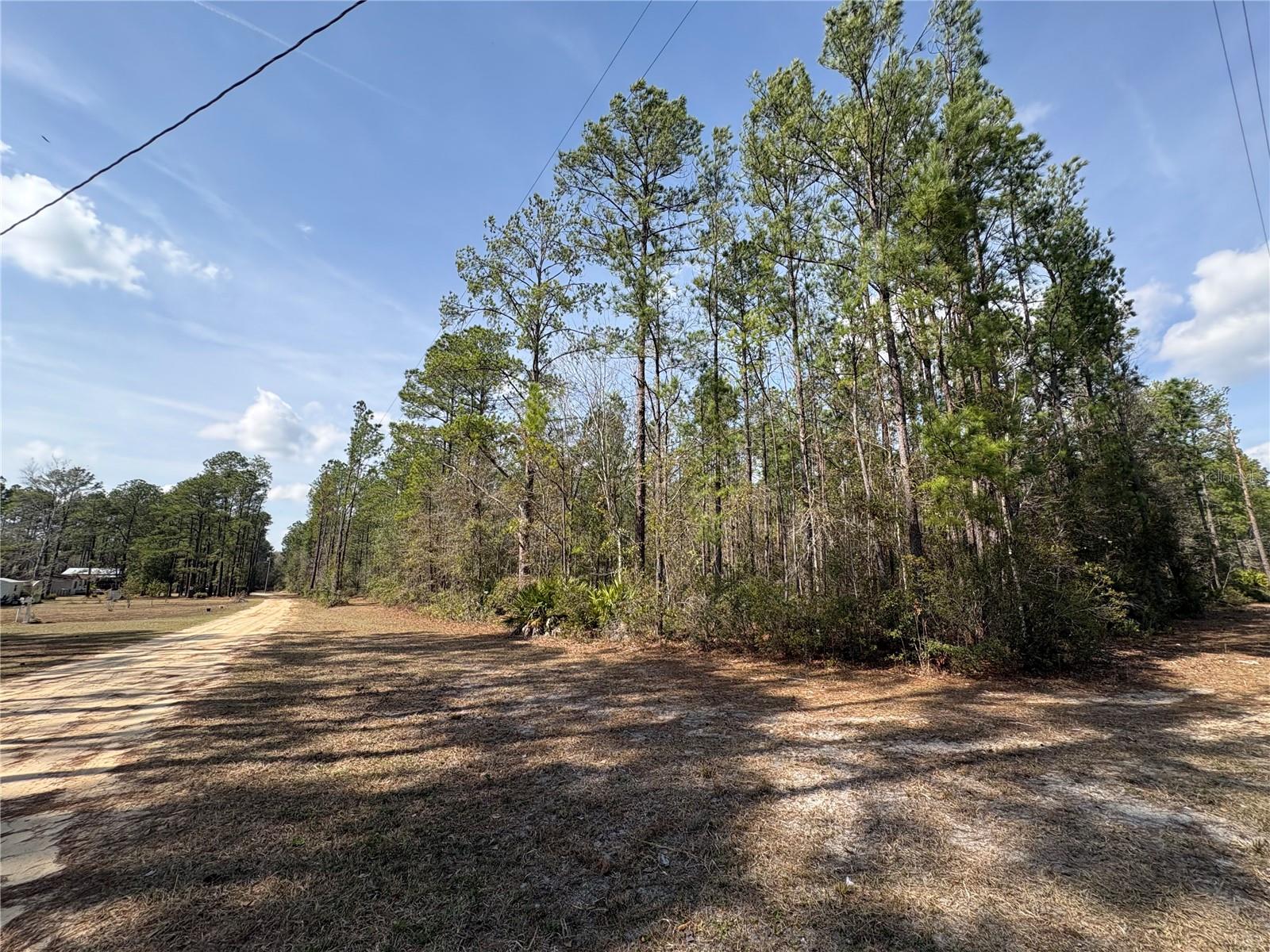 4385 BONDARENKO RD, KEYSTONE HEIGHTS, FL — photo 4