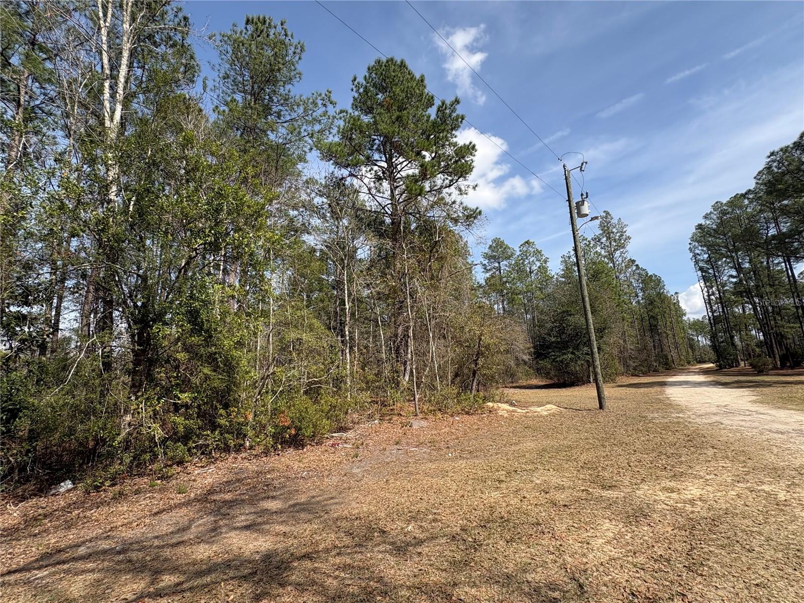 4385 BONDARENKO RD, KEYSTONE HEIGHTS, FL — photo 7