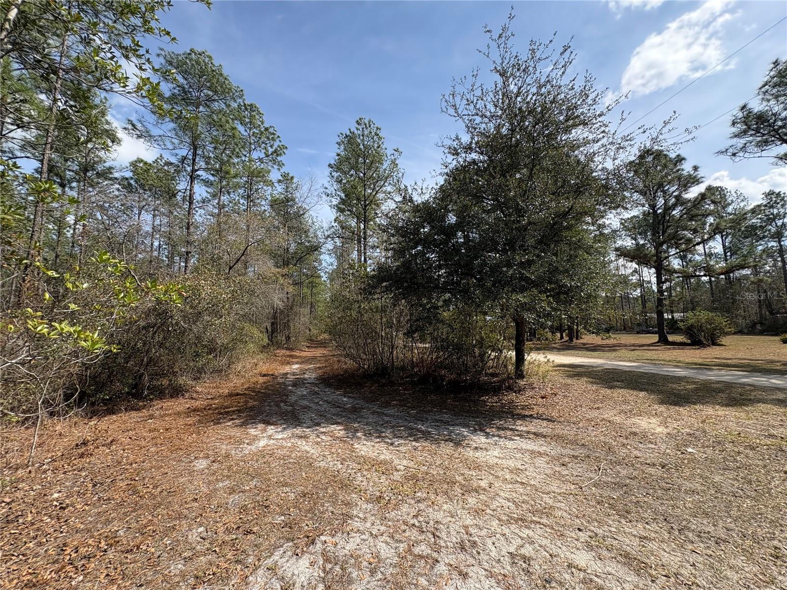 4385 BONDARENKO RD, KEYSTONE HEIGHTS, FL — photo 8