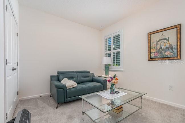 2392 SIRENA LN, MOUNT DORA, FL — photo 33