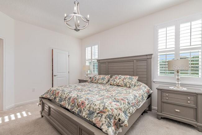2392 SIRENA LN, MOUNT DORA, FL — photo 18
