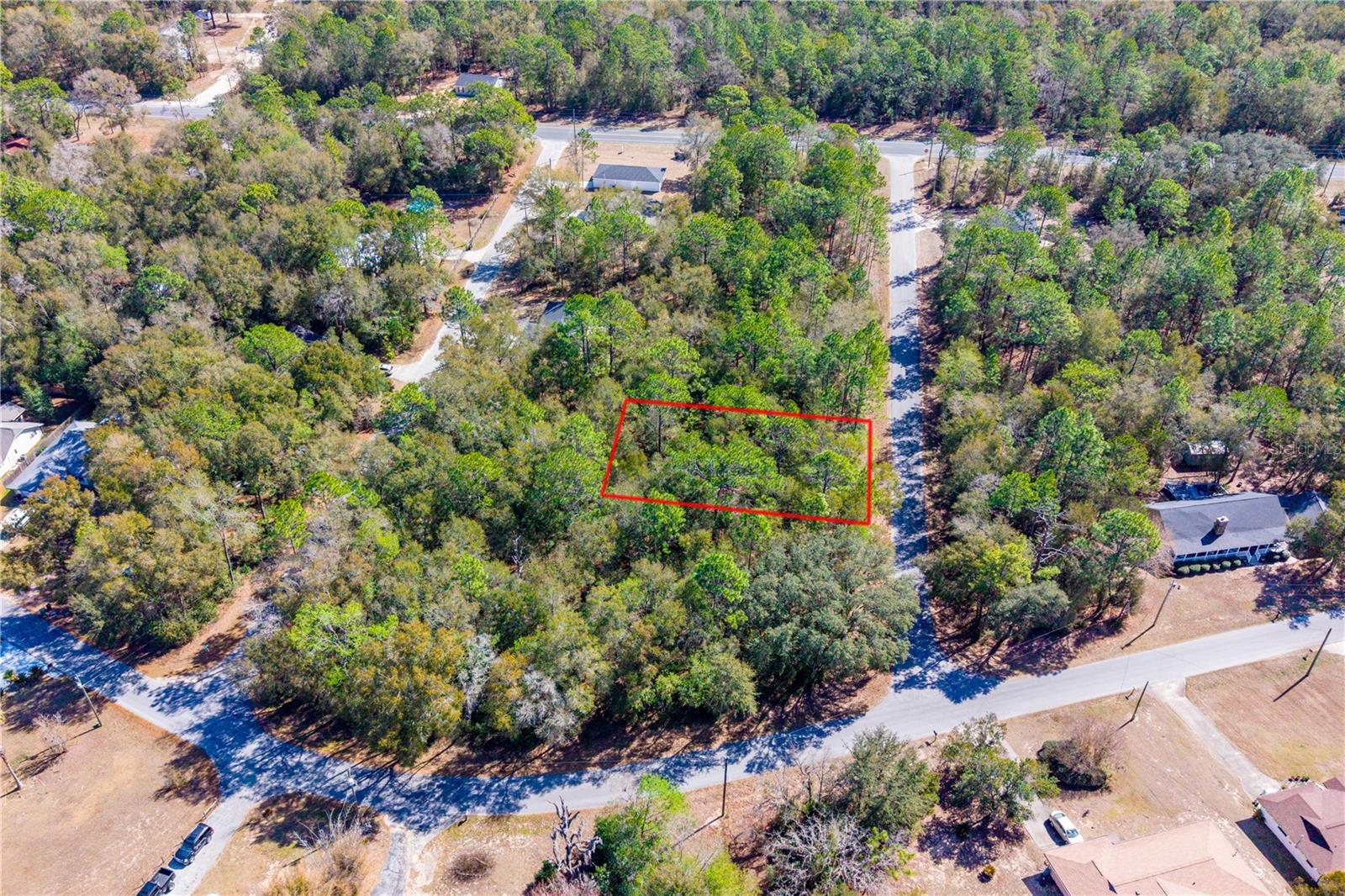 TBD NE 1ST PL, LOT 6, WILLISTON, FL — photo 4