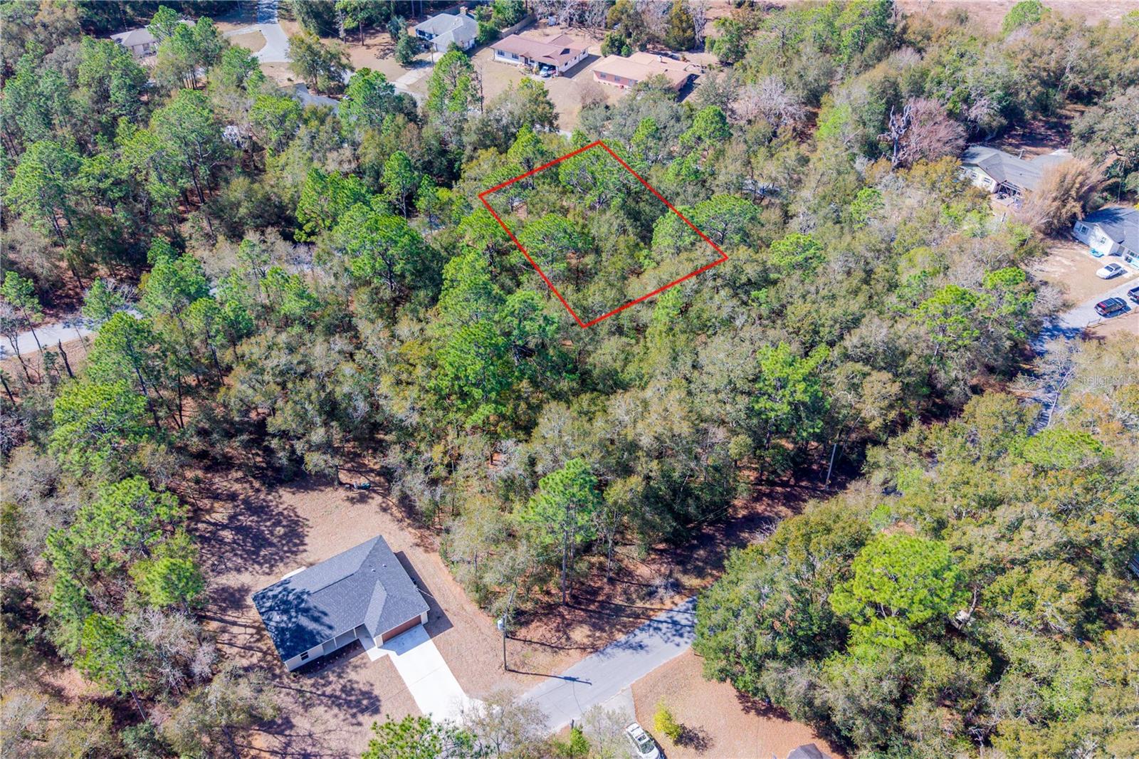 TBD NE 1ST PL, LOT 6, WILLISTON, FL — photo 5