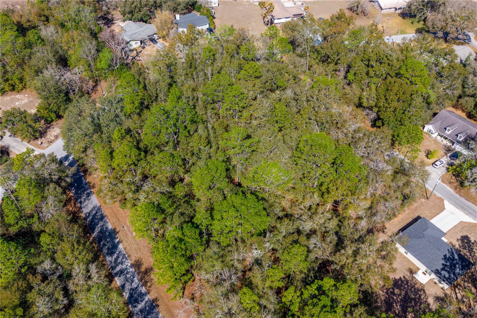 TBD NE 1ST PL, LOT 6, WILLISTON, FL — photo 6