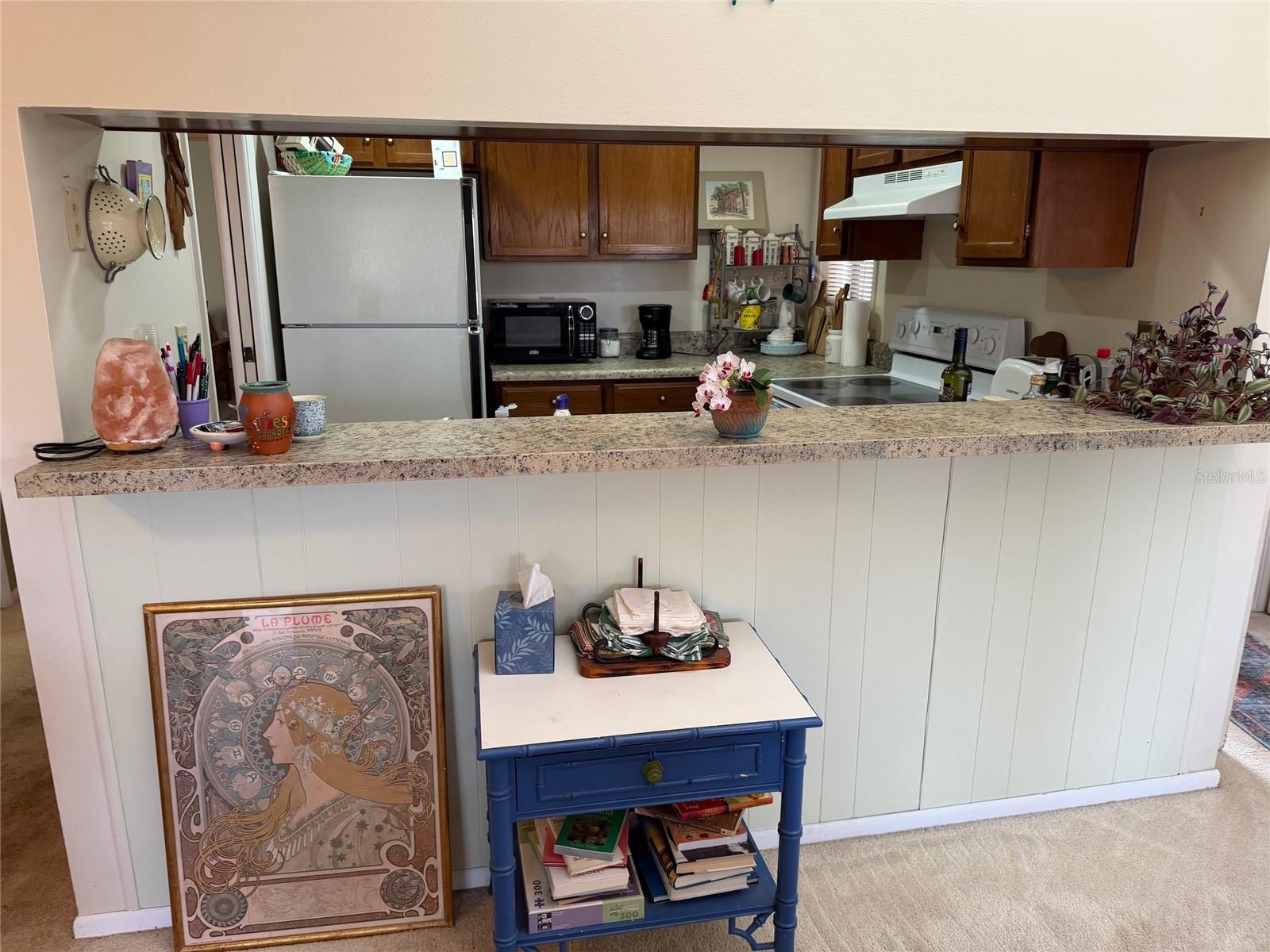 1051 S HIGHLAND ST #3D, MOUNT DORA, FL — photo 7