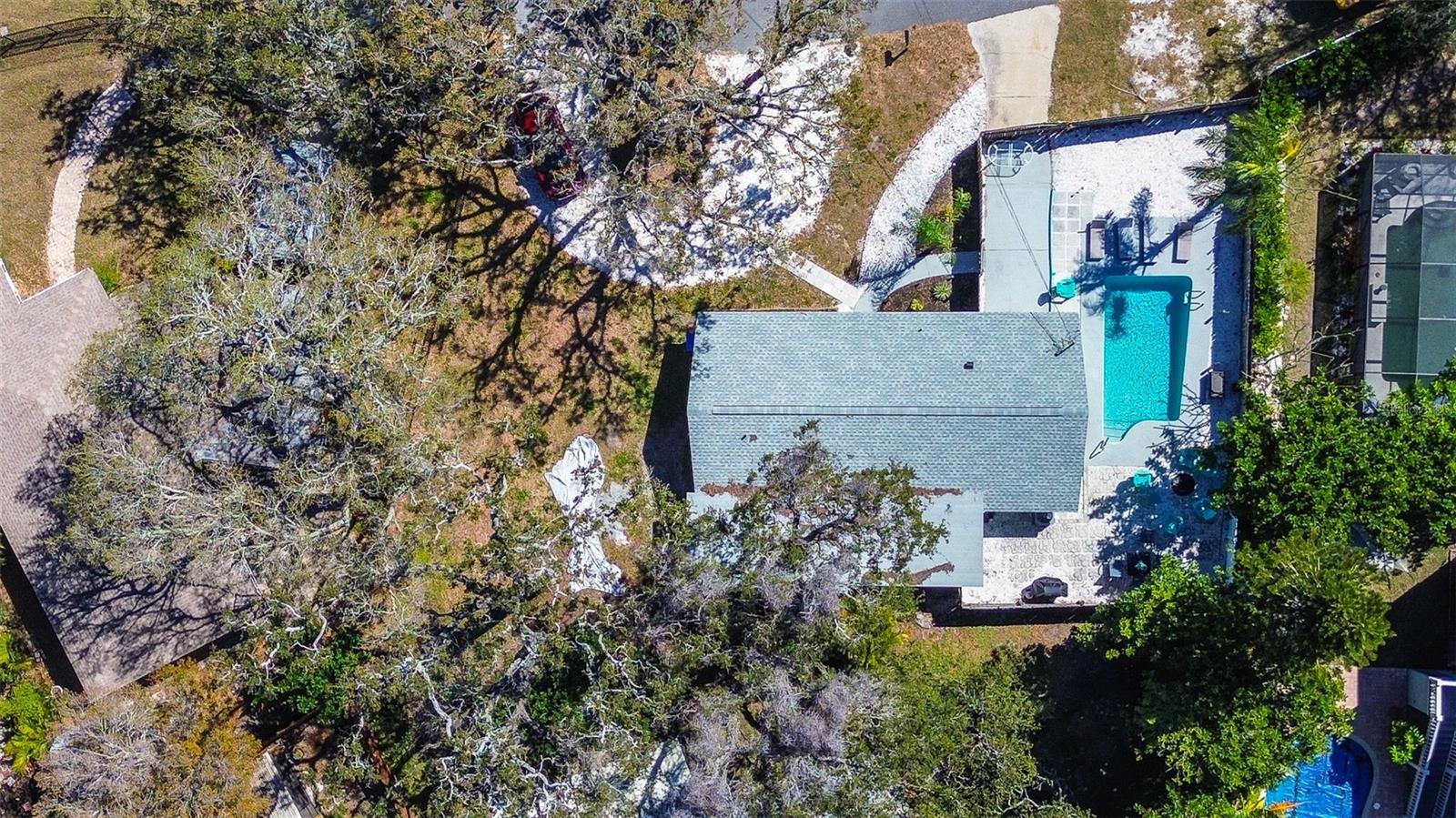201 SOUTH ST, PALM HARBOR, FL — photo 31