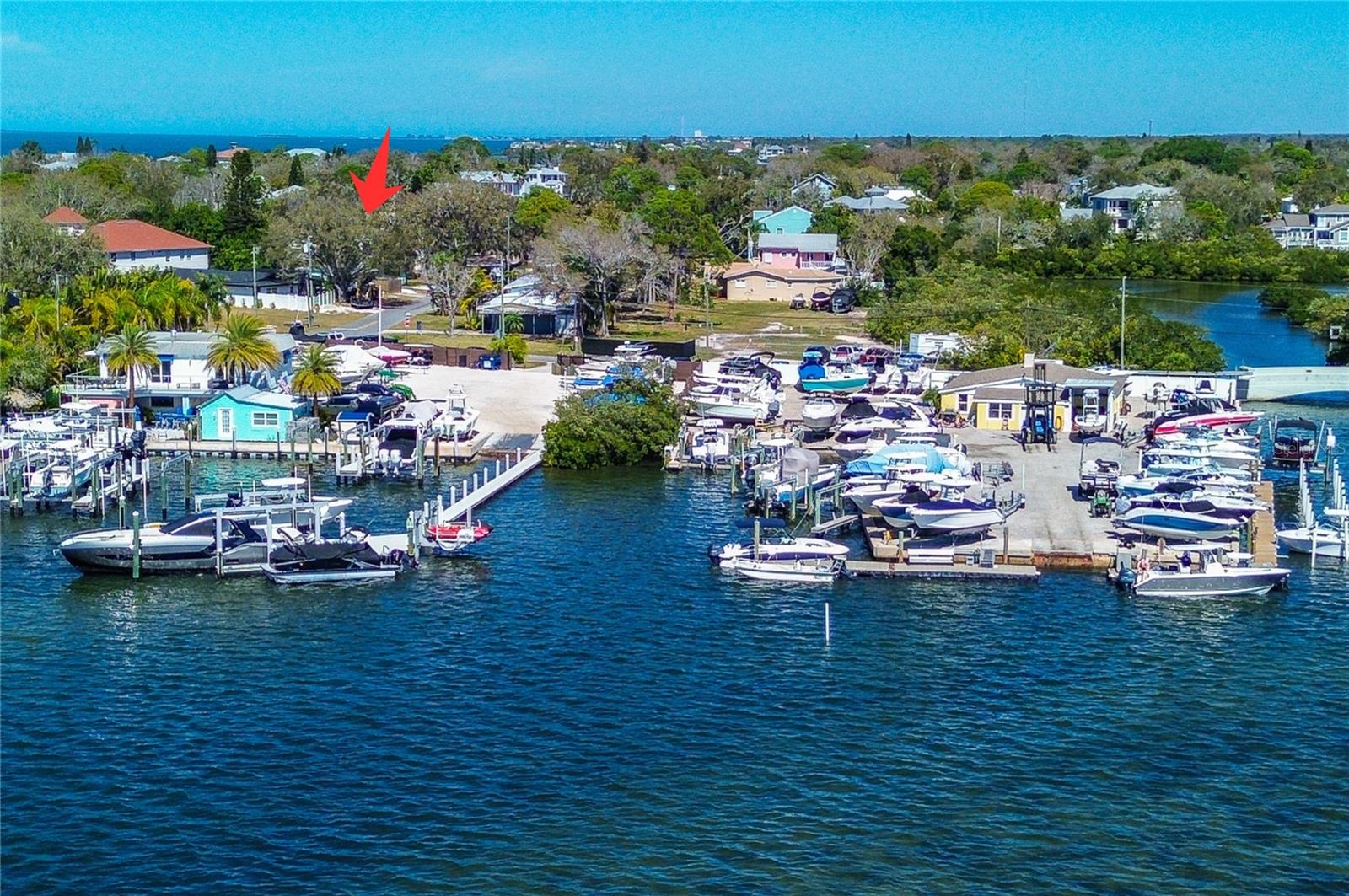 201 SOUTH ST, PALM HARBOR, FL — photo 39