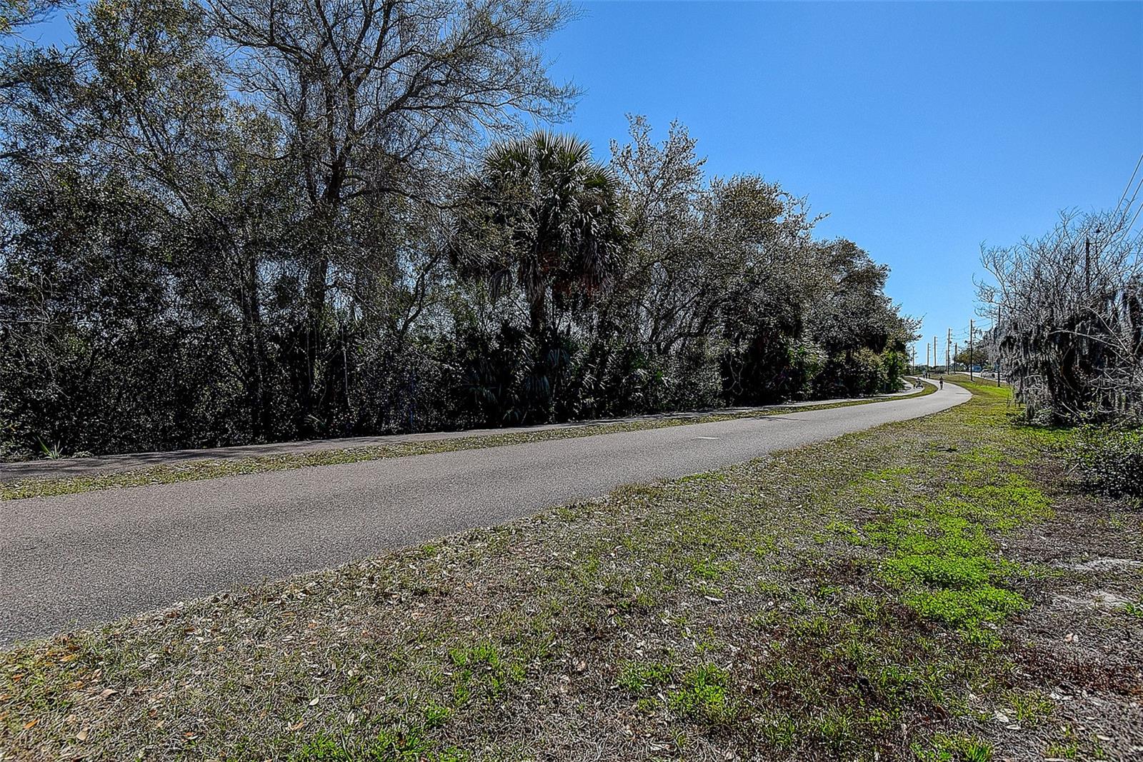 201 SOUTH ST, PALM HARBOR, FL — photo 42