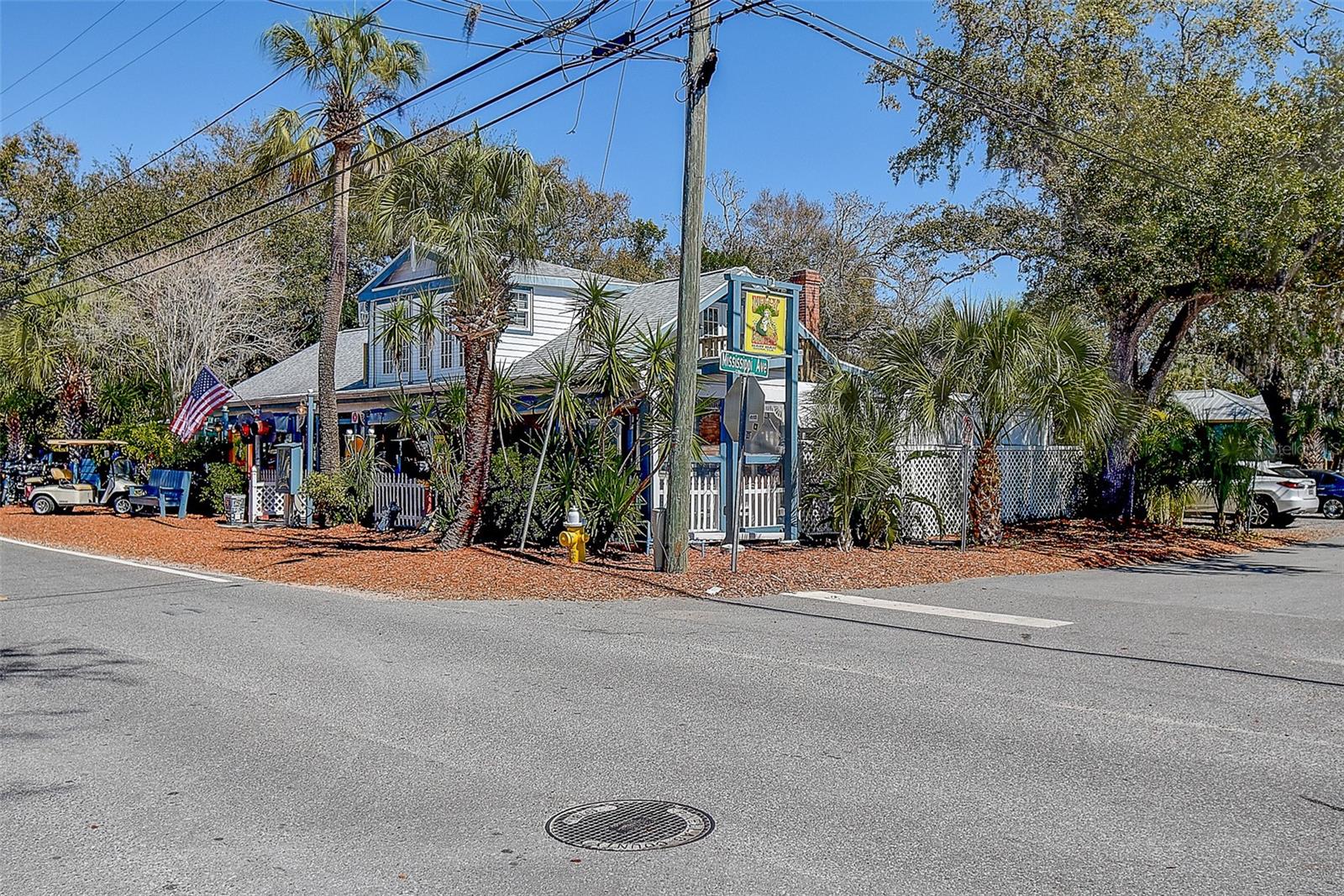 201 SOUTH ST, PALM HARBOR, FL — photo 44