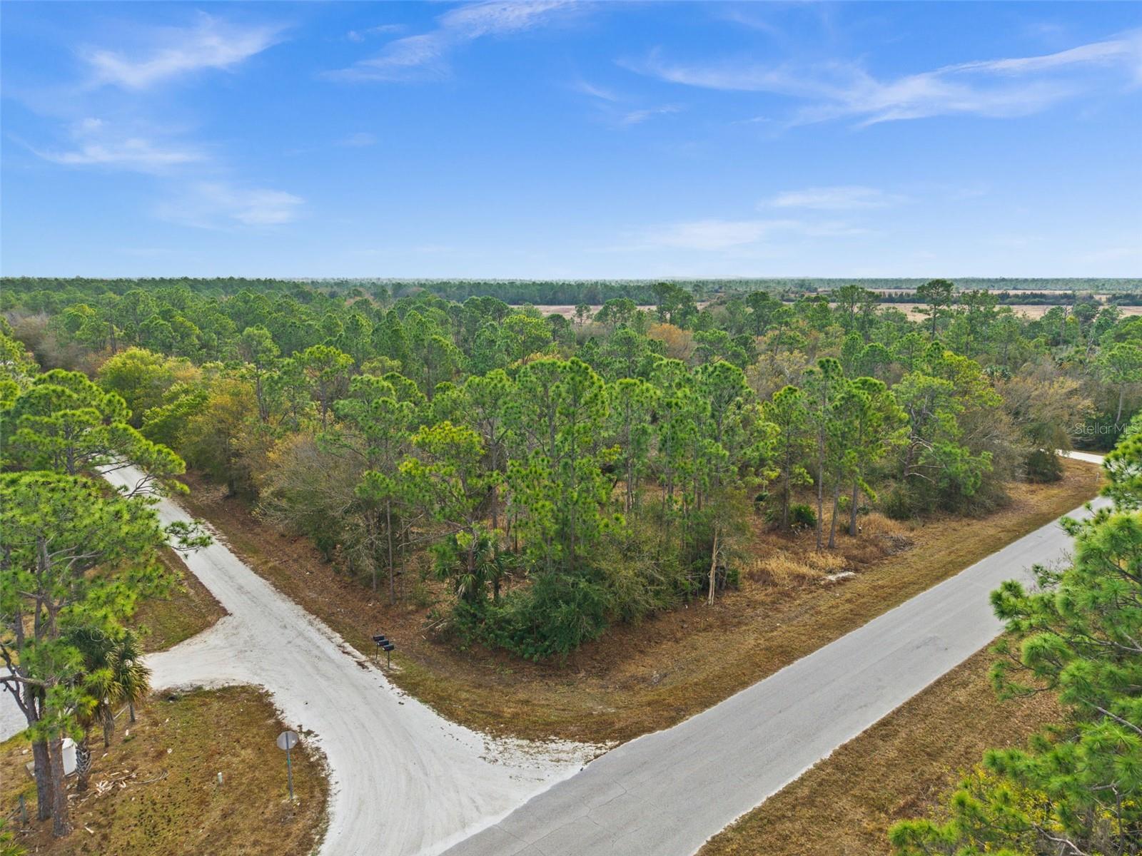 13484 MICHILIN AVE, PUNTA GORDA, FL — photo 3