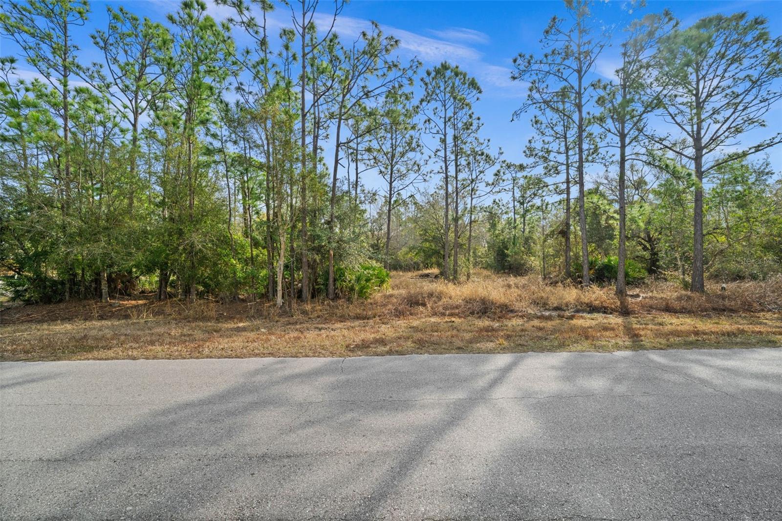 13484 MICHILIN AVE, PUNTA GORDA, FL — photo 7