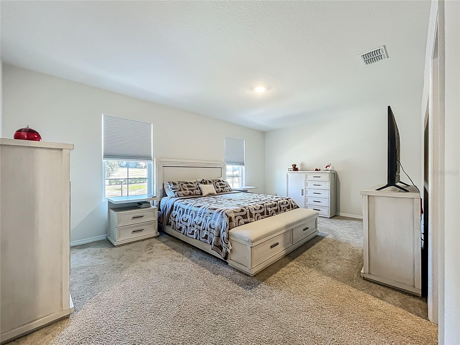 3196 BLUE CRAB DR, TAVARES, FL — photo 35