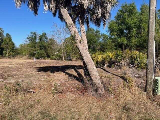 11508 6TH AVE, PUNTA GORDA, FL — photo 10