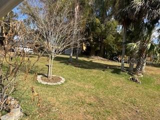 58 S KENTUCKY AVE, UMATILLA, FL — photo 55