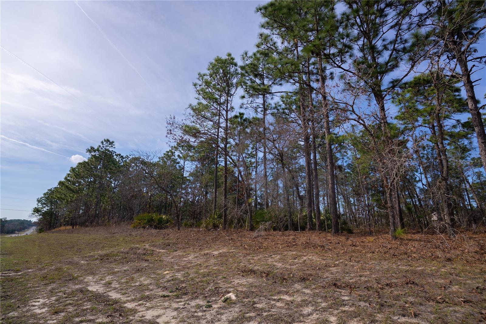 2173 W CITRUS SPRINGS BLVD, CITRUS SPRINGS, FL — photo 4
