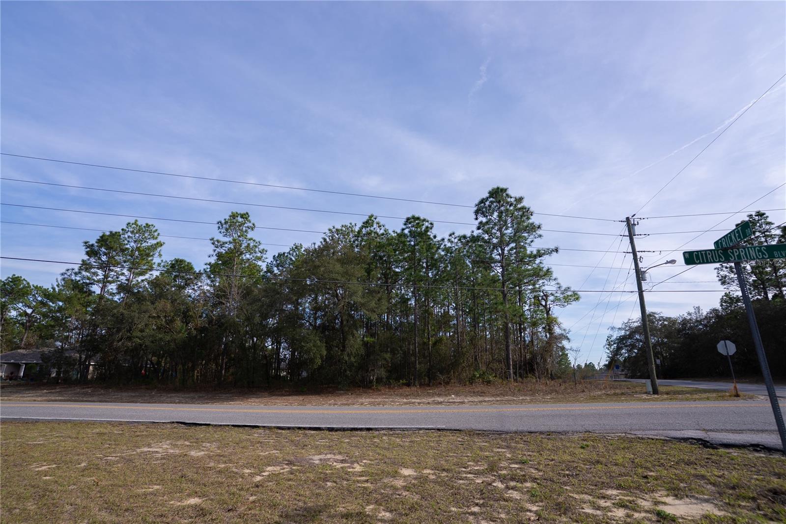 7391 N CRICKET DR, CITRUS SPRINGS, FL — photo 4