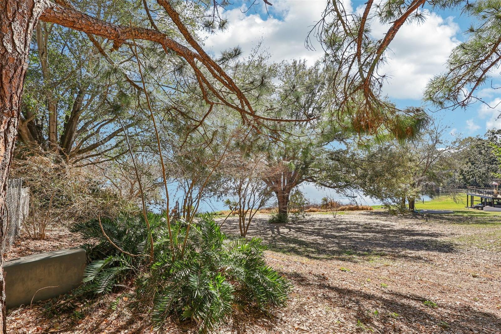 WESTMORELAND AVE, EUSTIS, FL — photo 19