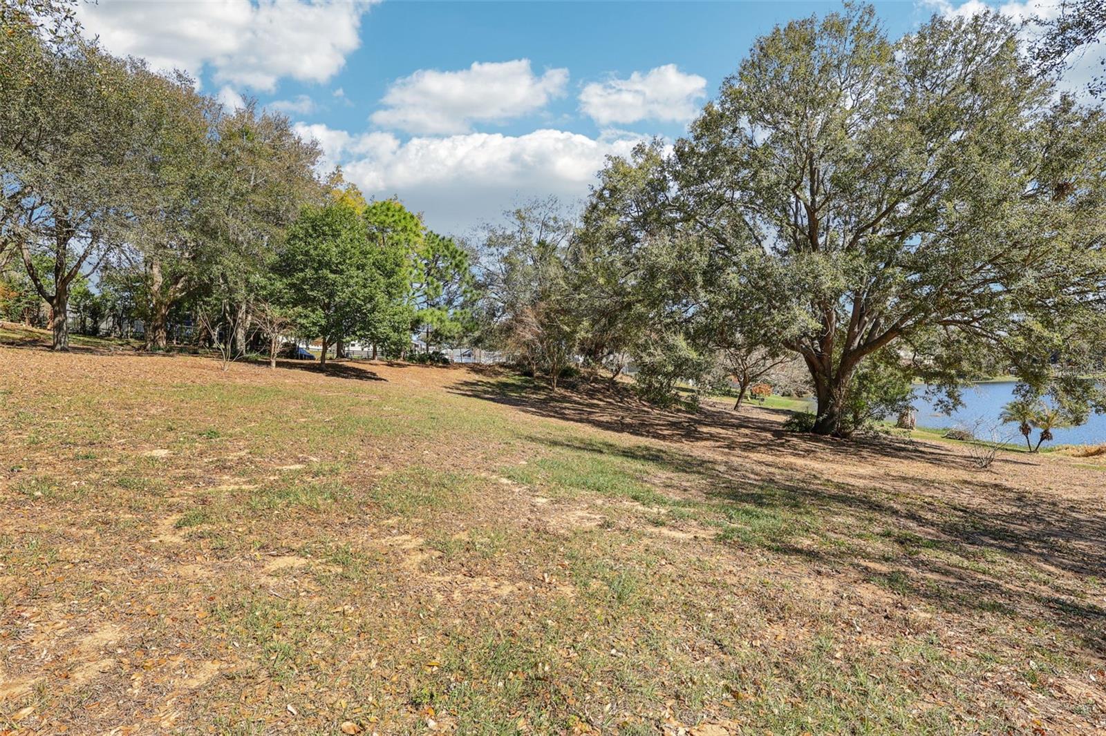 WESTMORELAND AVE, EUSTIS, FL — photo 26