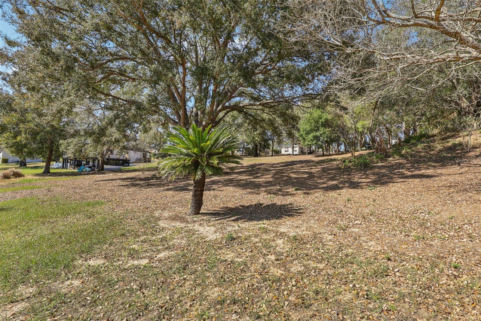 WESTMORELAND AVE, EUSTIS, FL — photo 33