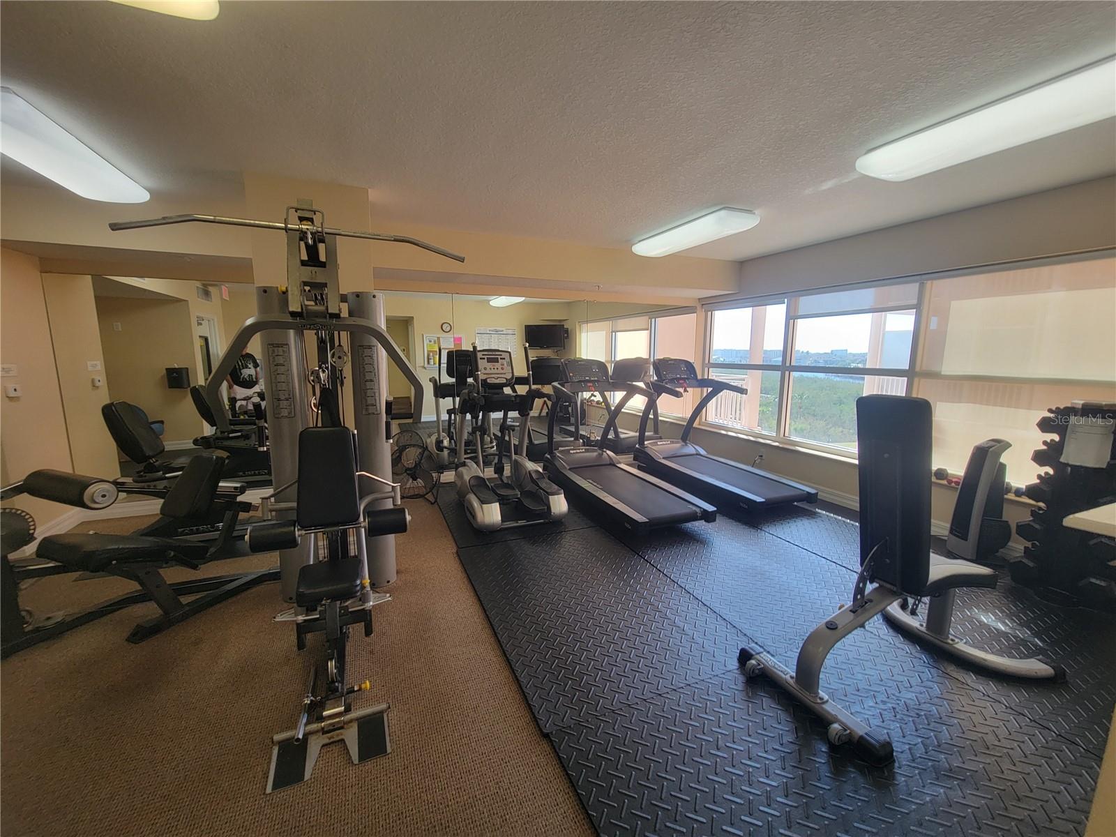 4516 SEAGULL DR #313, NEW PORT RICHEY, FL — photo 52