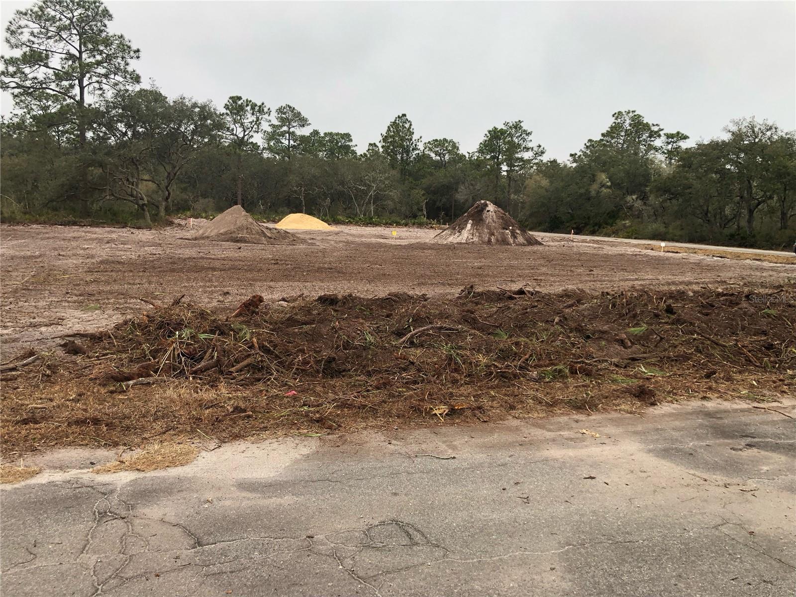 000 FISHER LOOP, OCKLAWAHA, FL — photo 2