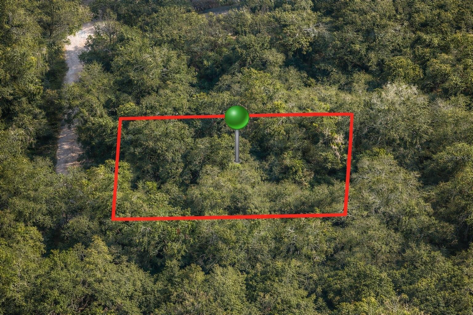 6619 N CANOPY TER, HERNANDO, FL — photo 2